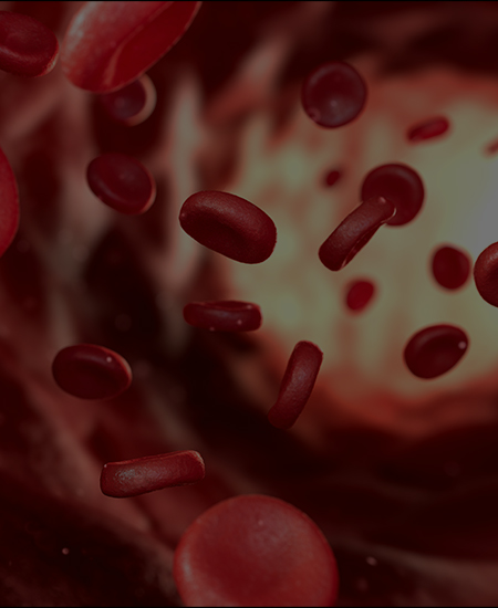 혈관 중재 클리닉